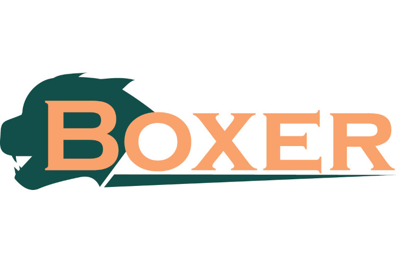 Artec-BOXER-History-1994